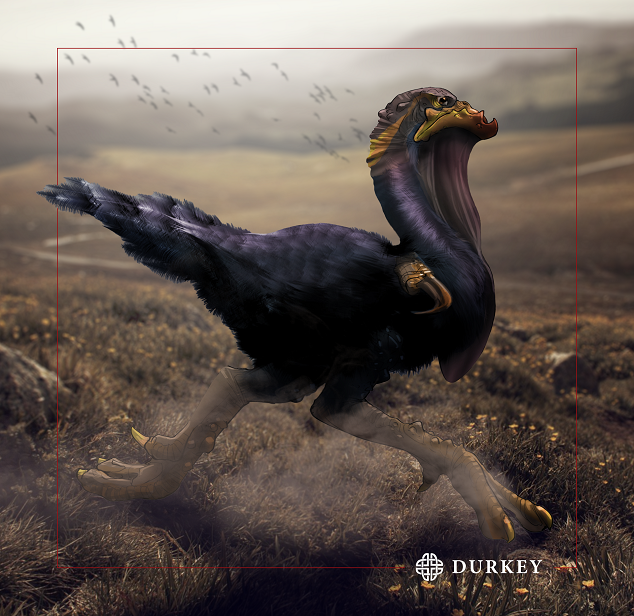 Durkey.png