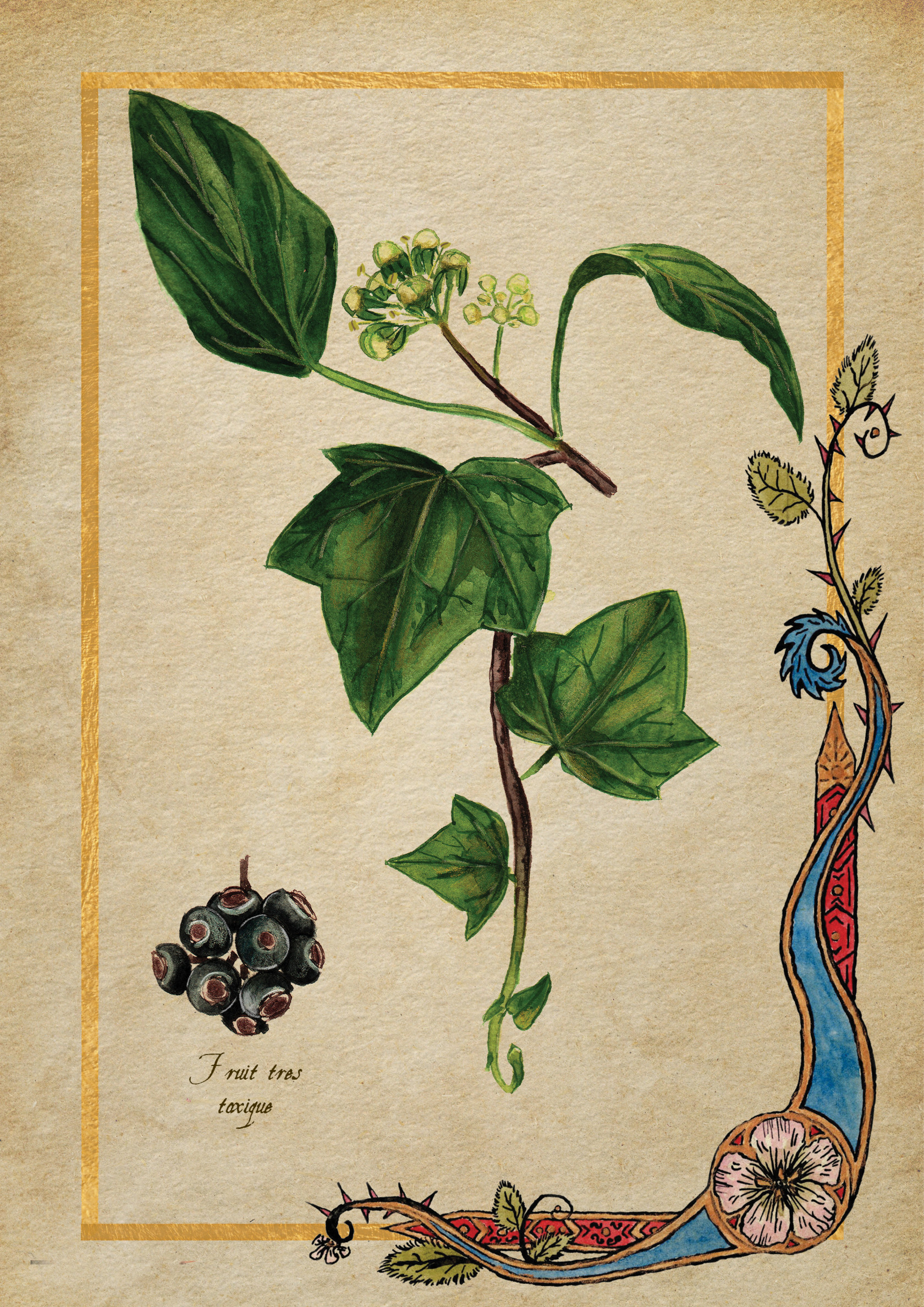 Herbier Visuels43.jpg