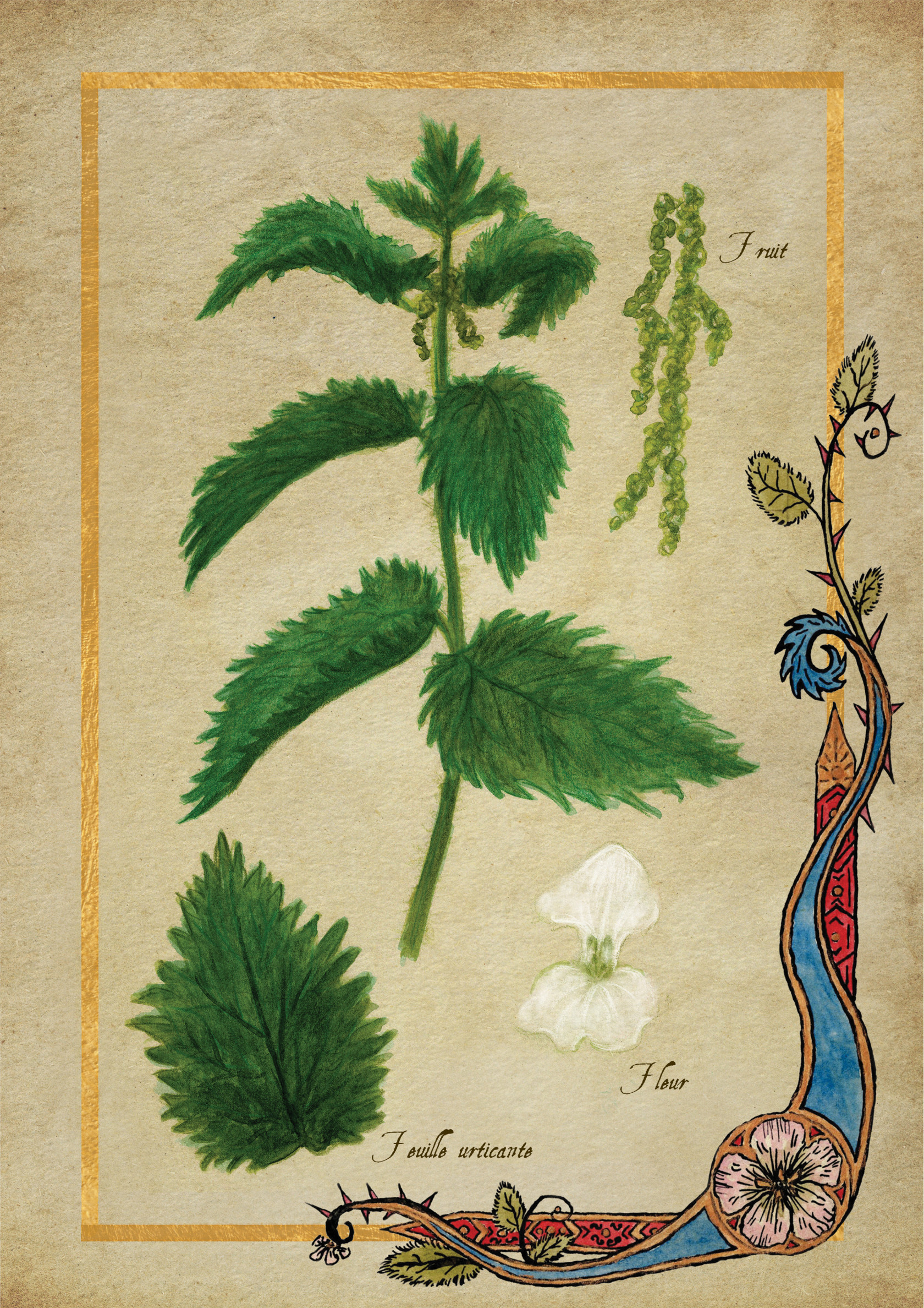 Herbier Visuels13.jpg