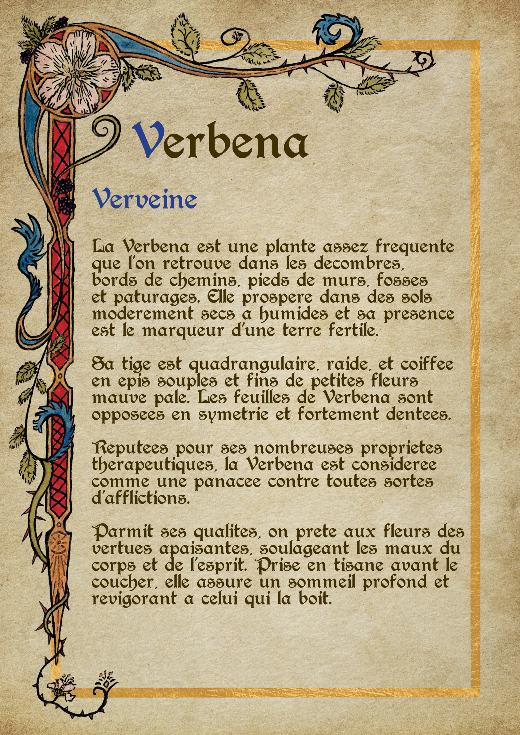 Herbier Visuels26.jpg