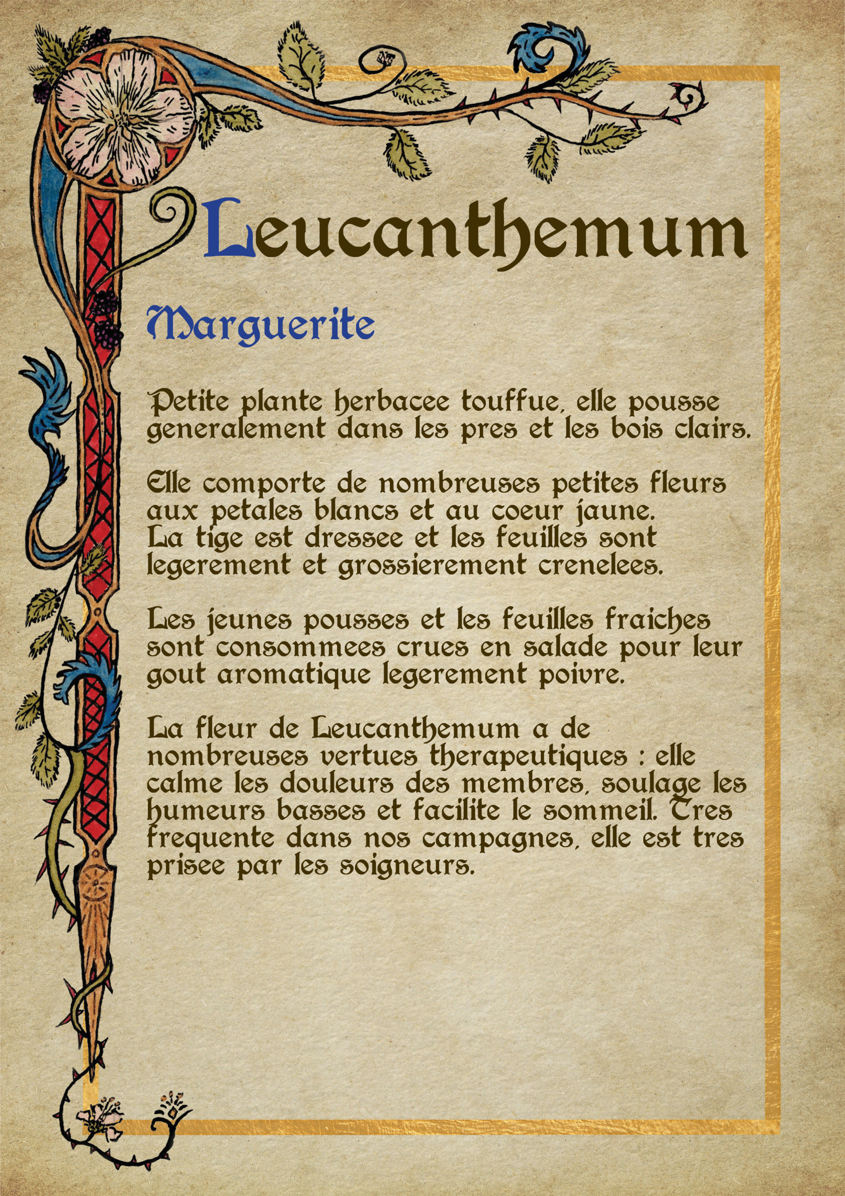 Herbier Visuels6.jpg