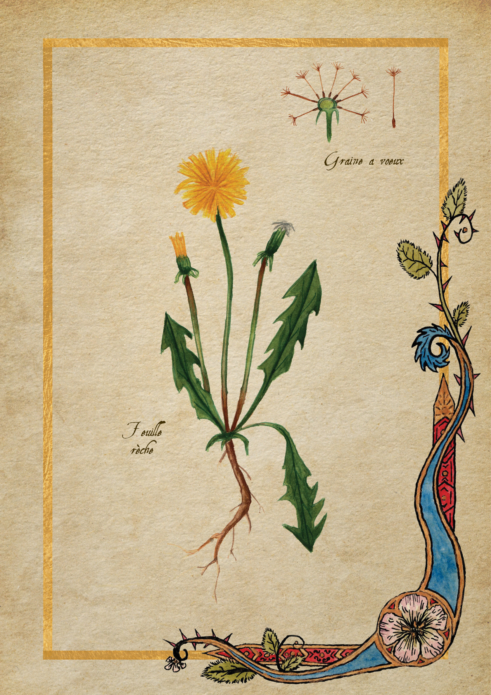 Herbier Visuels15.jpg