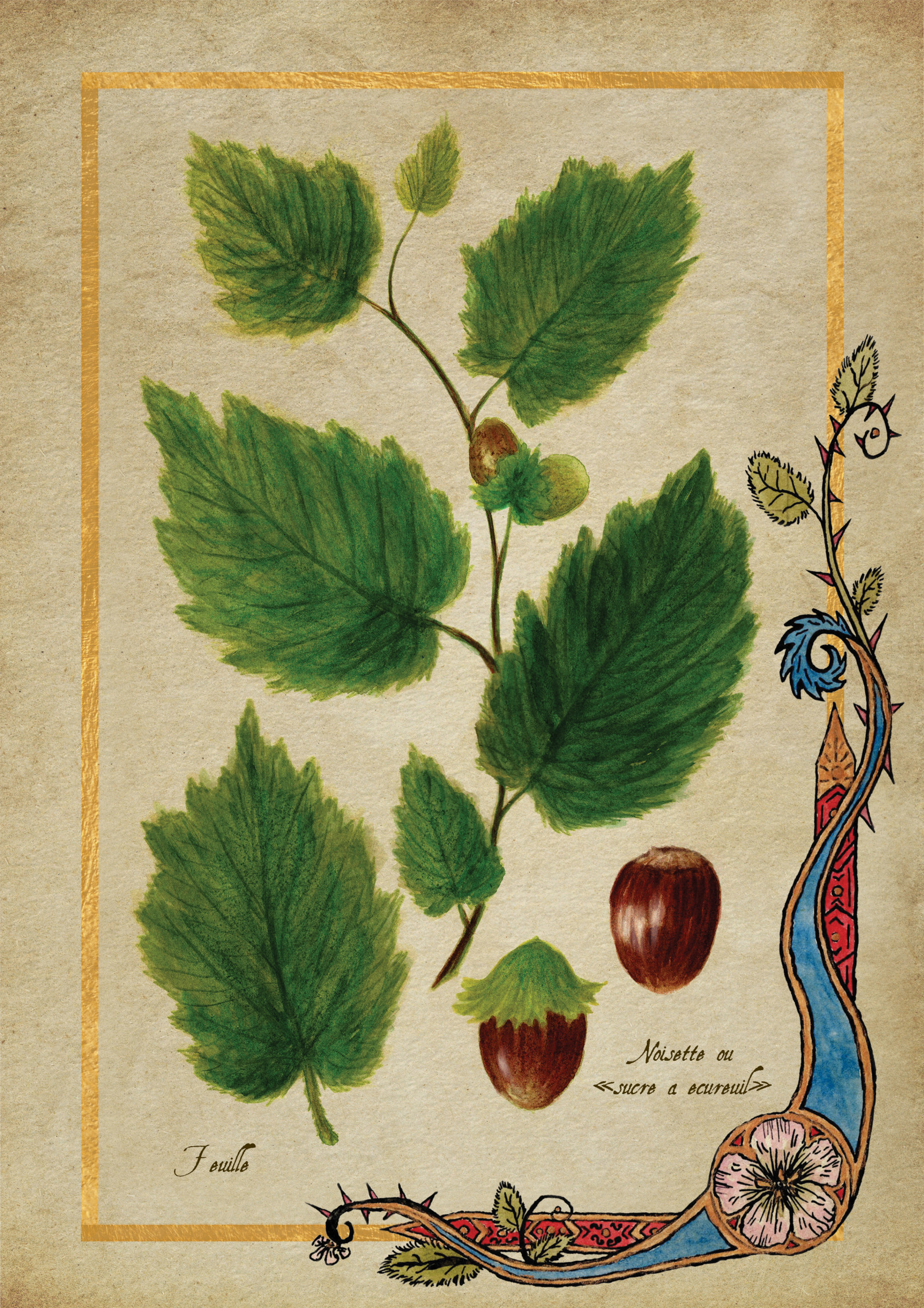 Herbier Visuels33.jpg