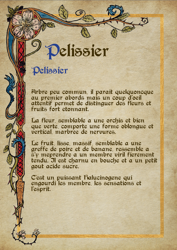 Capture d'écran 2026-03-21 225045.png